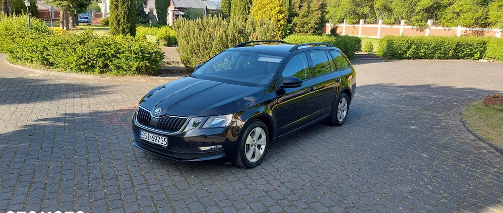 Skoda Octavia cena 44900 przebieg: 183500, rok produkcji 2018 z Sierpc małe 562
